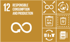 Responsible Consumption & Production – Reducing single-use plastics.