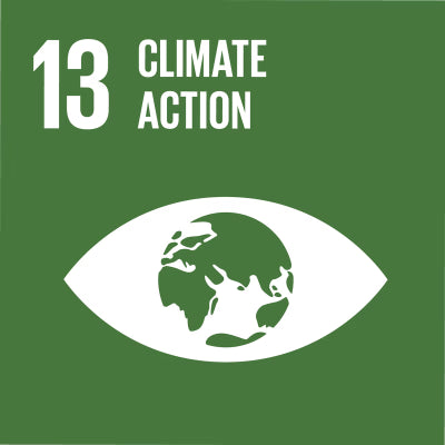 Goal 13: Climate Action – Mitigating environmental impact through sustainable choices